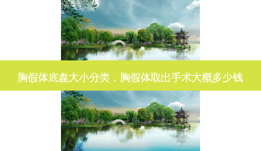 胸假体底盘大小分类，胸假体取出手术大概多少钱-第1张图片-容颜讯