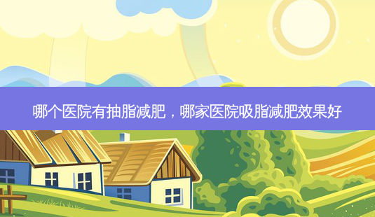 哪个医院有抽脂减肥,哪家医院吸脂减肥效果好-第1张图片-容颜讯 哪个医院有抽脂减肥,哪家医院吸脂减肥效果好-第1张图片-容颜讯