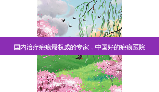 国内疤痕的专家，中国好的疤痕医院-第1张图片-容颜讯