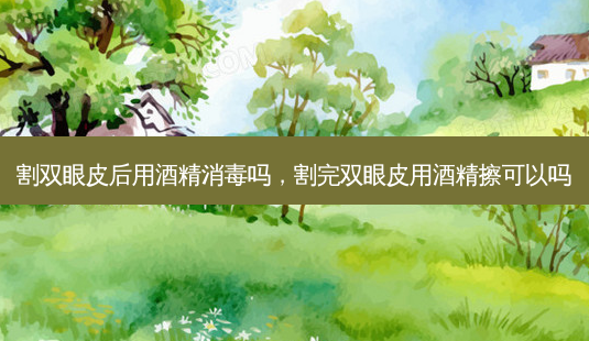 割双眼皮后用酒精消毒吗,割完双眼皮用酒精擦可以吗-第1张图片-容颜讯 割双眼皮后用酒精消毒吗,割完双眼皮用酒精擦可以吗-第1张图片-容颜讯
