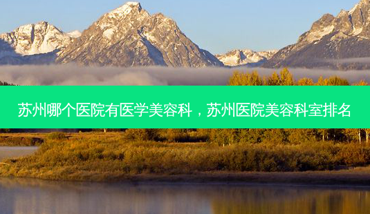 苏州哪个医院有医学美容科,苏州医院美容科室排名-第1张图片-容颜讯 苏州哪个医院有医学美容科,苏州医院美容科室排名-第1张图片-容颜讯