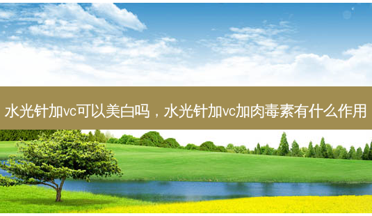水光针加vc可以美白吗,水光针加vc加有什么作用-第1张图片-容颜讯 水光针加vc可以美白吗,水光针加vc加有什么作用-第1张图片-容颜讯