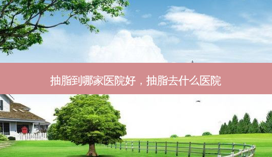 抽脂到哪家医院好，抽脂去什么医院-第1张图片-容颜讯