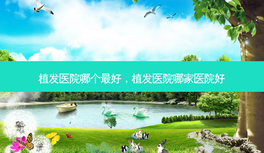 植发医院哪个好,植发医院哪家医院好-第1张图片-容颜讯 植发医院哪个好,植发医院哪家医院好-第1张图片-容颜讯