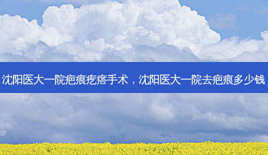 沈阳医大一院疤痕疙瘩手术，沈阳医大一院去疤痕多少钱-第1张图片-容颜讯