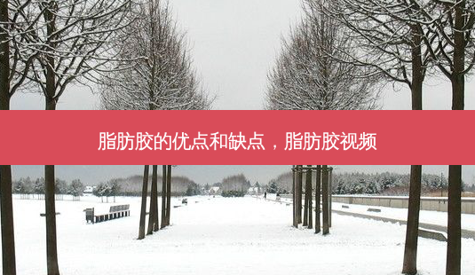脂肪胶的优点和缺点,脂肪胶视频-第1张图片-容颜讯 脂肪胶的优点和缺点,脂肪胶视频-第1张图片-容颜讯