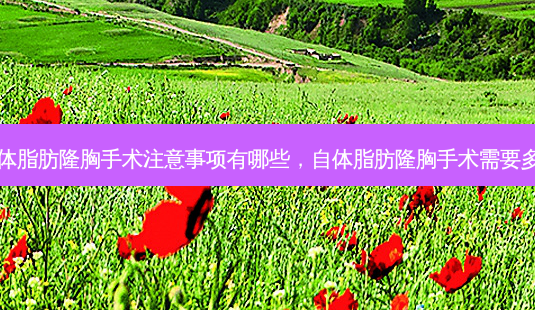自体脂肪隆胸手术注意事项有哪些,自体脂肪隆胸手术需要多久-第1张图片-容颜讯 自体脂肪隆胸手术注意事项有哪些,自体脂肪隆胸手术需要多久-第1张图片-容颜讯
