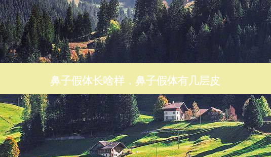 鼻子假体长啥样,鼻子假体有几层皮-第1张图片-容颜讯 鼻子假体长啥样,鼻子假体有几层皮-第1张图片-容颜讯