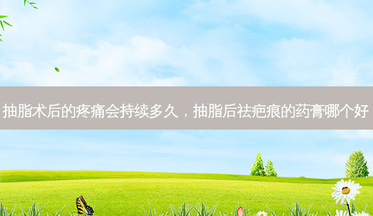 抽脂术后的疼痛会持续多久,抽脂后祛疤痕的药膏哪个好-第1张图片-容颜讯 抽脂术后的疼痛会持续多久,抽脂后祛疤痕的药膏哪个好-第1张图片-容颜讯