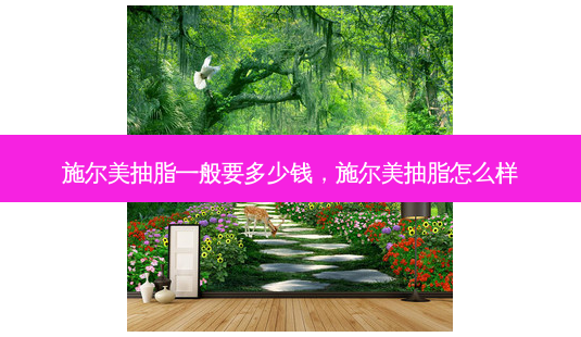 施尔美抽脂一般要多少钱,施尔美抽脂怎么样-第1张图片-容颜讯 施尔美抽脂一般要多少钱,施尔美抽脂怎么样-第1张图片-容颜讯
