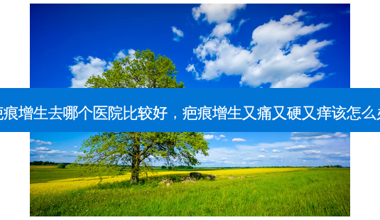 疤痕增生去哪个医院比较好,疤痕增生又痛又硬又痒该怎么办-第1张图片-容颜讯 疤痕增生去哪个医院比较好,疤痕增生又痛又硬又痒该怎么办-第1张图片-容颜讯