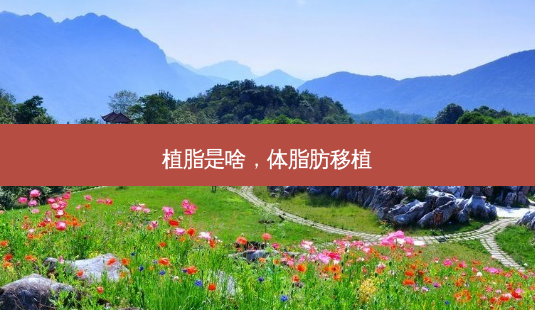 植脂是啥，体脂肪移植-第1张图片-容颜讯