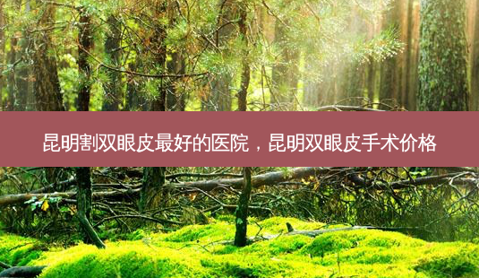 昆明割双眼皮好的医院，昆明双眼皮手术价格-第1张图片-容颜讯