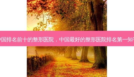 中国排名前十的整形医院，中国好的整形医院知乎-第1张图片-容颜讯