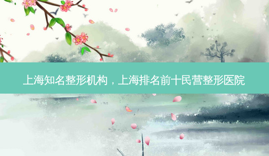 上海知名整形机构，上海排名前十民营整形医院-第1张图片-容颜讯