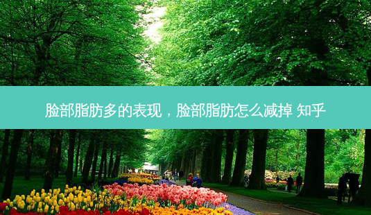 脸部脂肪多的表现，脸部脂肪怎么减掉 知乎-第1张图片-容颜讯