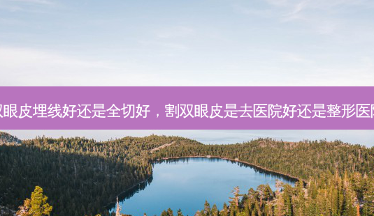 割双眼皮埋线好还是全切好，割双眼皮是去医院好还是整形医院好-第1张图片-容颜讯