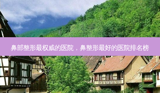 鼻部整形的医院,鼻整形好的医院排名榜-第1张图片-容颜讯 鼻部整形的医院,鼻整形好的医院排名榜-第1张图片-容颜讯