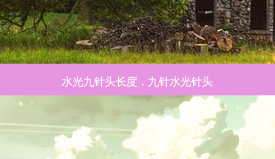 水光九针头长度，九针水光针头-第1张图片-容颜讯