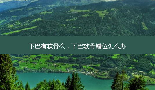 下巴有软骨么，下巴软骨错位怎么办-第1张图片-容颜讯