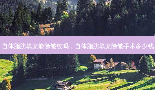 自体脂肪填充能除皱纹吗，自体脂肪填充除皱手术多少钱-第1张图片-容颜讯