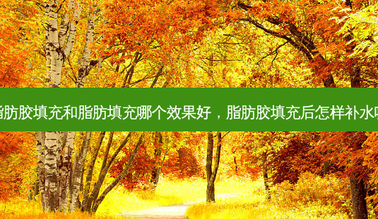 脂肪胶填充和脂肪填充哪个效果好，脂肪胶填充后怎样补水呢-第1张图片-容颜讯