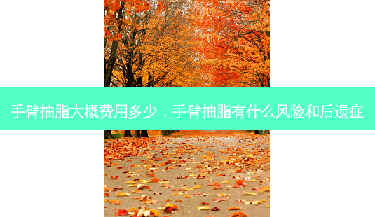 手臂抽脂大概费用多少,手臂抽脂有什么风险和后遗症-第1张图片-容颜讯 手臂抽脂大概费用多少,手臂抽脂有什么风险和后遗症-第1张图片-容颜讯