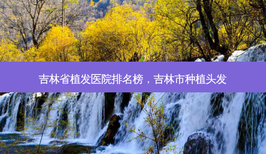 吉林省植发医院排名榜，吉林市种植头发-第1张图片-容颜讯