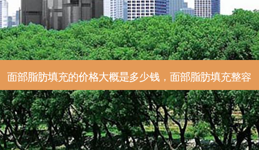 面部脂肪填充的价格大概是多少钱,面部脂肪填充整容-第1张图片-容颜讯 面部脂肪填充的价格大概是多少钱,面部脂肪填充整容-第1张图片-容颜讯