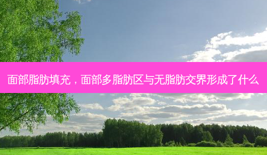 面部脂肪填充，面部多脂肪区与无脂肪交界形成了什么-第1张图片-容颜讯