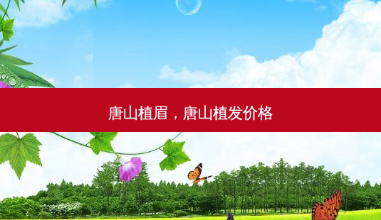 唐山植眉，唐山植发价格-第1张图片-容颜讯