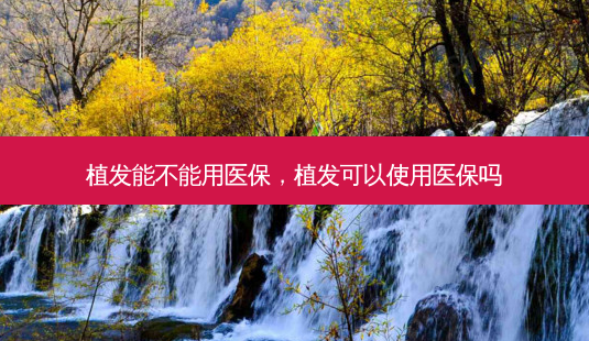 植发能不能用医保,植发可以使用医保吗-第1张图片-容颜讯 植发能不能用医保,植发可以使用医保吗-第1张图片-容颜讯