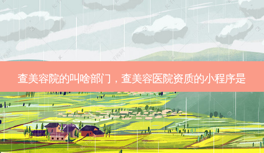 查美容院的叫啥部门，查美容医院资质的小程序是-第1张图片-容颜讯
