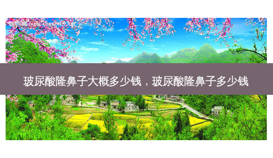 玻尿酸隆鼻子大概多少钱，玻尿酸隆鼻子多少钱-第1张图片-容颜讯