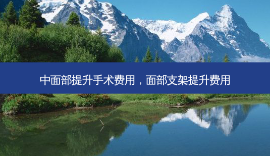 中面部提升手术费用,面部支架提升费用-第1张图片-容颜讯 中面部提升手术费用,面部支架提升费用-第1张图片-容颜讯