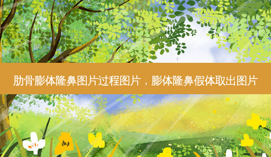 肋骨膨体隆鼻图片过程图片,膨体隆鼻假体取出图片-第1张图片-容颜讯 肋骨膨体隆鼻图片过程图片,膨体隆鼻假体取出图片-第1张图片-容颜讯