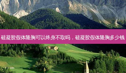 硅凝胶假体隆胸可以终身不取吗,硅凝胶假体隆胸多少钱-第1张图片-容颜讯 硅凝胶假体隆胸可以终身不取吗,硅凝胶假体隆胸多少钱-第1张图片-容颜讯