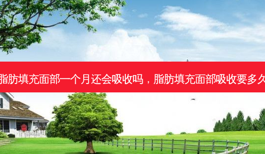 脂肪填充面部一个月还会吸收吗，脂肪填充面部吸收要多久-第1张图片-容颜讯
