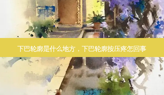 下巴轮廓是什么地方，下巴轮廓按压疼怎回事-第1张图片-容颜讯