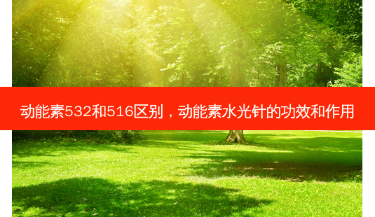 动能素532和516区别，动能素水光针的功效和作用-第1张图片-容颜讯