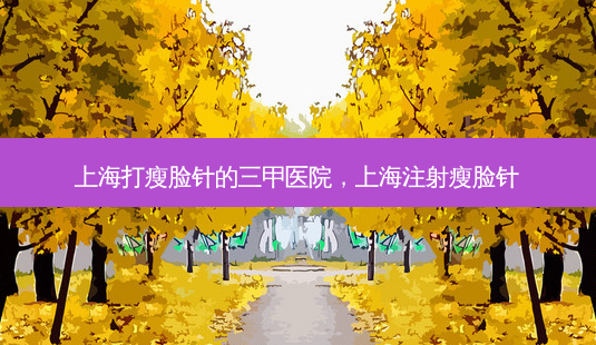 上海打瘦脸针的三甲医院,上海注射瘦脸针-第1张图片-容颜讯 上海打瘦脸针的三甲医院,上海注射瘦脸针-第1张图片-容颜讯