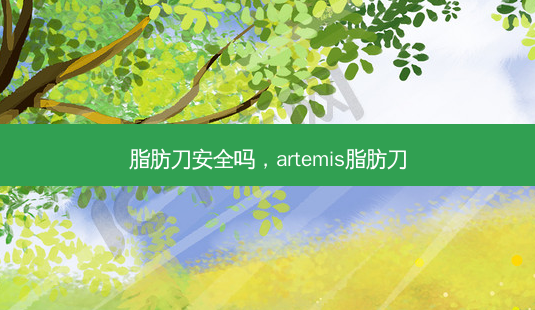 脂肪刀 *** 吗，artemis脂肪刀-第1张图片-容颜讯