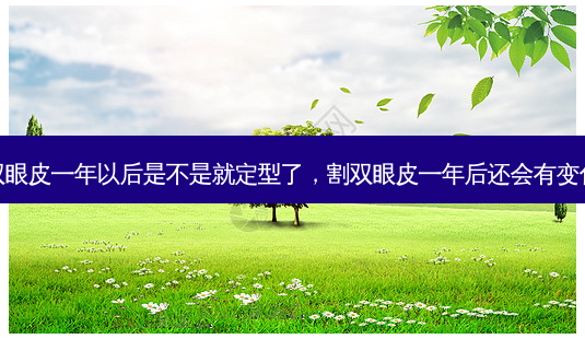 切双眼皮一年以后是不是就定型了,割双眼皮一年后还会有变化吗-第1张图片-容颜讯 切双眼皮一年以后是不是就定型了,割双眼皮一年后还会有变化吗-第1张图片-容颜讯