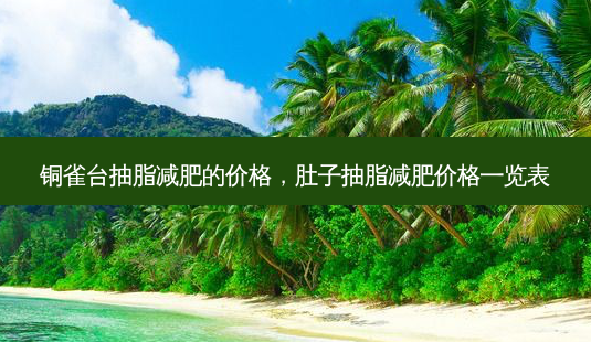 铜雀台抽脂减肥的价格,肚子抽脂减肥价格一览表-第1张图片-容颜讯 铜雀台抽脂减肥的价格,肚子抽脂减肥价格一览表-第1张图片-容颜讯