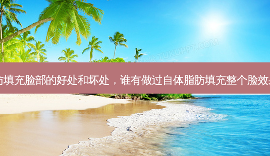 自体脂肪填充脸部的好处和坏处,谁有做过自体脂肪填充整个脸效果怎么样-第1张图片-容颜讯 自体脂肪填充脸部的好处和坏处,谁有做过自体脂肪填充整个脸效果怎么样-第1张图片-容颜讯