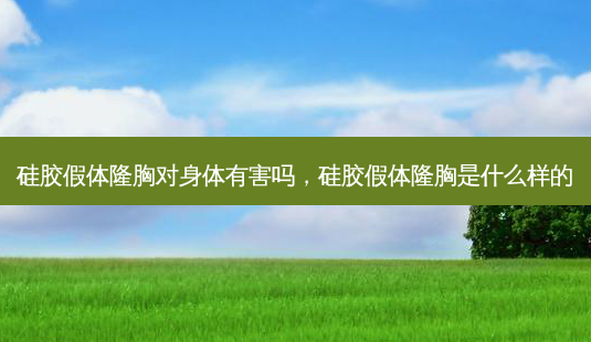 硅胶假体隆胸对身体有害吗,硅胶假体隆胸是什么样的-第1张图片-容颜讯 硅胶假体隆胸对身体有害吗,硅胶假体隆胸是什么样的-第1张图片-容颜讯