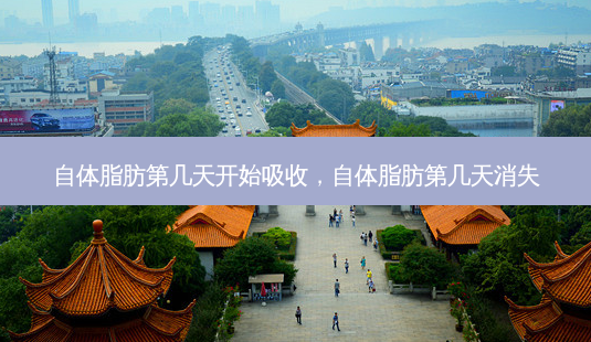 自体脂肪第几天开始吸收,自体脂肪第几天消失-第1张图片-容颜讯 自体脂肪第几天开始吸收,自体脂肪第几天消失-第1张图片-容颜讯