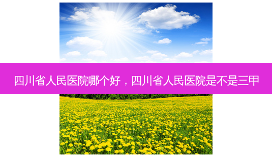 四川省人民医院哪个好,四川省人民医院是不是三甲-第1张图片-容颜讯 四川省人民医院哪个好,四川省人民医院是不是三甲-第1张图片-容颜讯