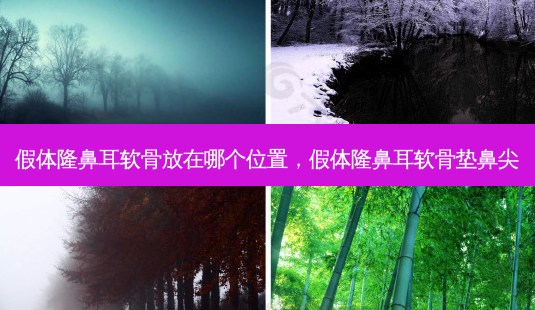 假体隆鼻耳软骨放在哪个位置,假体隆鼻耳软骨垫鼻尖-第1张图片-容颜讯 假体隆鼻耳软骨放在哪个位置,假体隆鼻耳软骨垫鼻尖-第1张图片-容颜讯