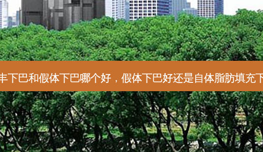 脂肪丰下巴和假体下巴哪个好,假体下巴好还是自体脂肪填充下巴好-第1张图片-容颜讯 脂肪丰下巴和假体下巴哪个好,假体下巴好还是自体脂肪填充下巴好-第1张图片-容颜讯